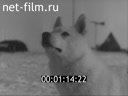 Footage frame