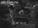 Кадр видео