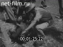 Кадр видео