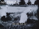 Кадр видео