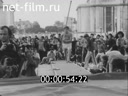 Кадр видео