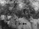 Кадр видео
