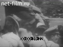 Кадр видео