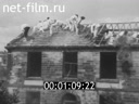 Кадр видео