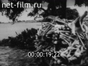 Footage frame