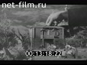 Footage frame