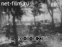 Footage frame
