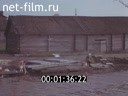 Кадр видео