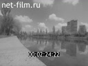 Кадр видео