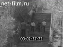 Кадр видео