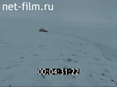 Footage frame