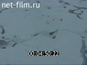 Footage frame