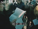 Кадр видео