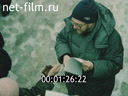Кадр видео