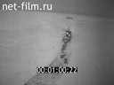 Footage frame