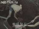 Footage frame