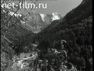 Newsreel Daily News / A Chronicle of the day №36-1961 (1961)