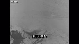 Footage frame