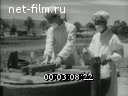 Кадр видео
