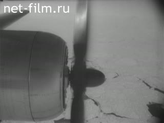 Movie 376 Days on a Drifting Ice Floe. (1954)