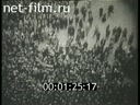 Footage frame