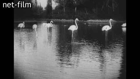 Footage (1928)