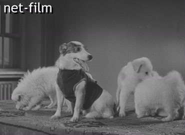 Footage (1961)