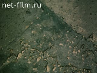 Movie State Emergency Committee, the investigation is over. (1993)