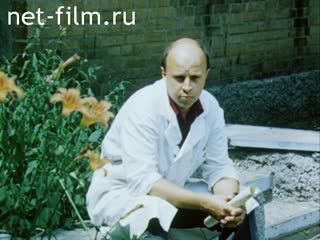 Фильм Милость к падшим. (1992)