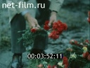 Footage frame