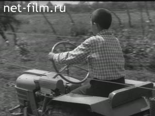 Киножурнал Пионерия №6-1966 (1966)