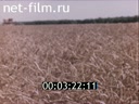 Footage frame