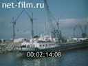 Кадр видео