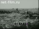 Footage frame