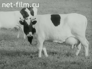 Newsreel Soviet Ural Mountains №17-1954 (1954)