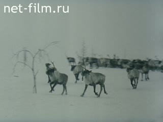 Movie A man flies to work. (1983)