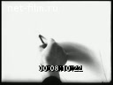 Footage frame