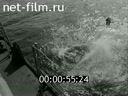 Кадр видео