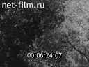 Footage frame