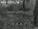 Footage frame