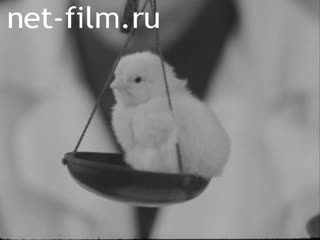 Newsreel Stalin's Ural №22-1952 (1952)