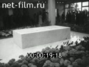 Кадр видео