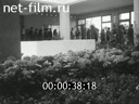 Кадр видео