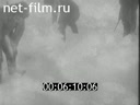 Footage frame