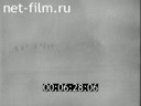 Footage frame