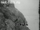 Footage frame