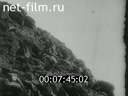 Footage frame