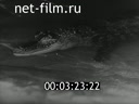 Footage frame