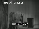 Footage frame