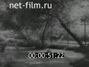Footage frame
